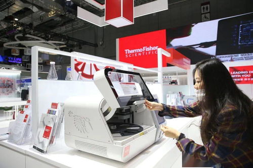 進博會首發(fā) 引領(lǐng)未來的網(wǎng)絡(luò)技術(shù)服務(wù)，如何重塑我們的生活圖景